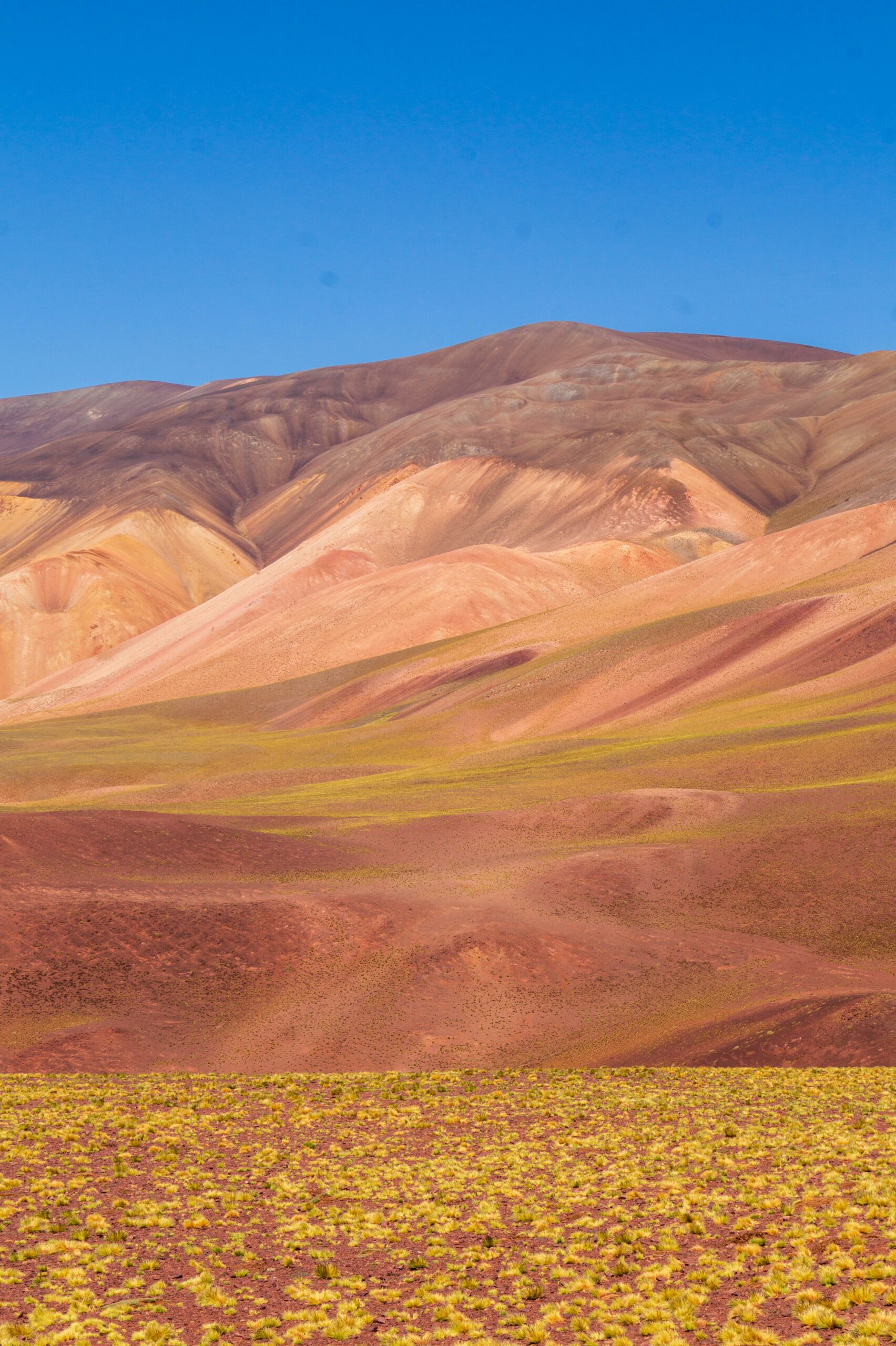 Vinchina: Un Tesoro de Tradición y Naturaleza en La Rioja